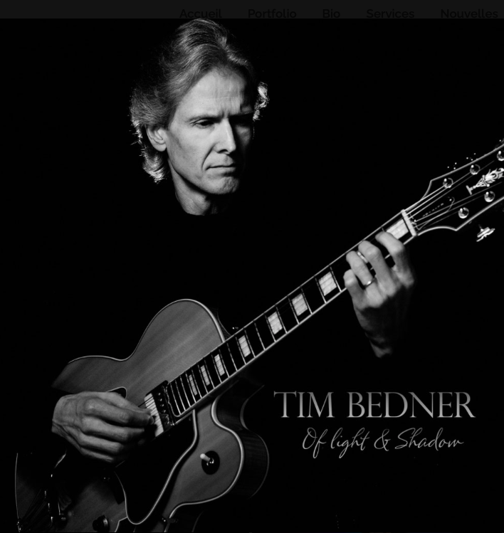 Artiste professionnel